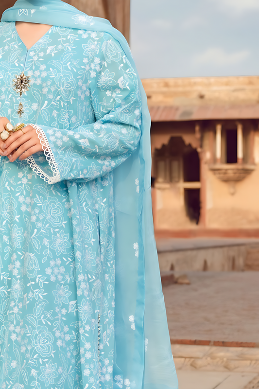 BLOOMSATTIRE - 3PC DHANAK EMBROIDERED BA-W55