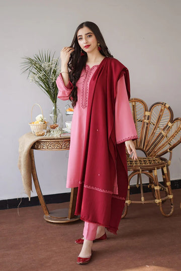 AISLING - 3PC DHANAK EMBROIDERED BA-W161